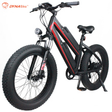 High performance 750W dual battery long range electric mountain bike